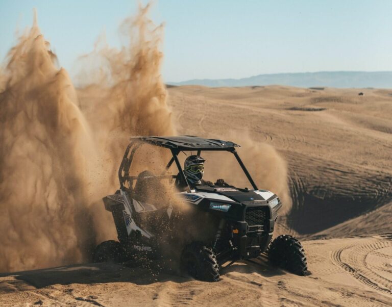 Buggy and camel combo